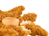 SONIC CHICKEN 1